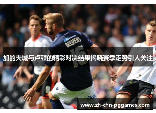 加的夫城与卢顿的精彩对决结果揭晓赛季走势引人关注